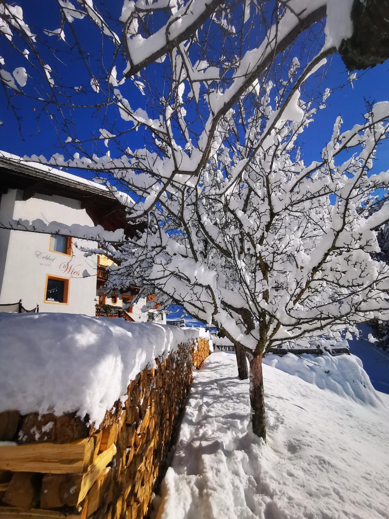 Wieserhof Tirol Oetz Ngoại thất bức ảnh